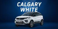 Calgary White - Nexon Blue Bg