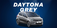 Daytona grey - Tiago